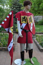 Tabard, bouclier et entendard mdivaux