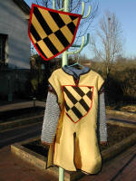 Costume du Chevalier Jaune